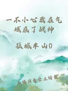 一不小心我在气域成了战神