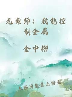 元素师：我能控制金属