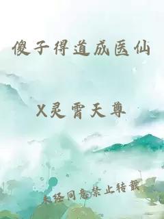 傻子得道成医仙