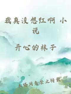 我真没想红啊 小说