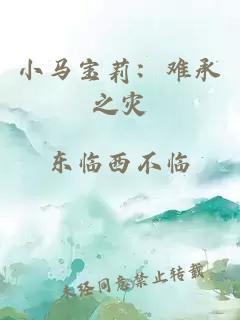 小马宝莉：难承之灾