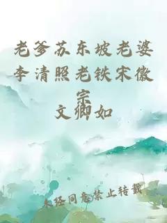 老爹苏东坡老婆李清照老铁宋徽宗