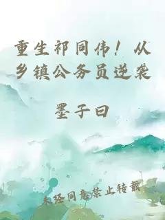 重生祁同伟！从乡镇公务员逆袭
