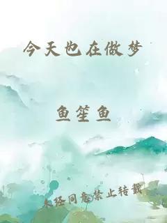 今天也在做梦