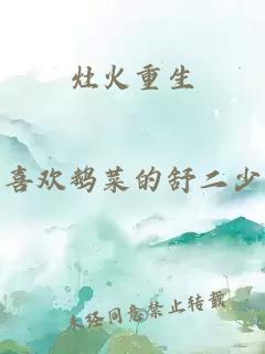 灶火重生