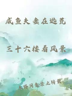 咸鱼夫妻在逃荒