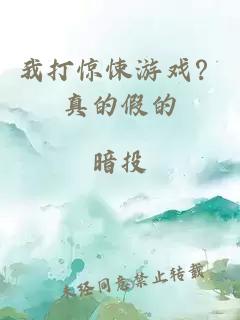 我打惊悚游戏？真的假的