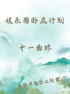 娱乐圈卧底计划