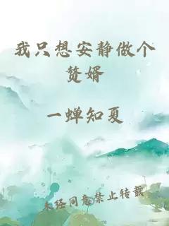 我只想安静做个赘婿