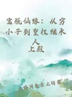 宝瓶仙缘：从穷小子到皇权继承人