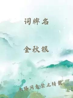 词牌名
