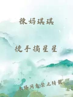 辣妈琪琪