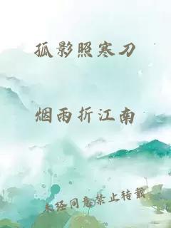 孤影照寒刀