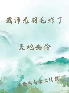 我师兄羽毛炸了