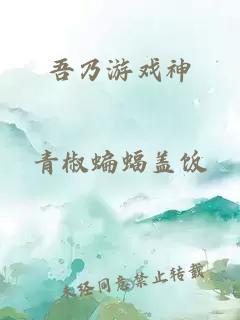 吾乃游戏神