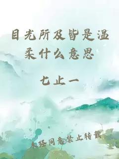 目光所及皆是温柔什么意思