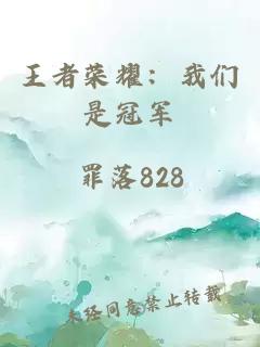 王者荣耀：我们是冠军