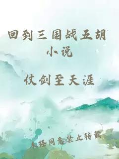 回到三国战五胡 小说