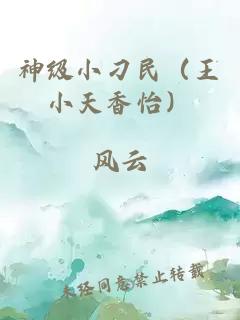 神级小刁民(王小天香怡)