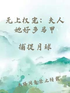 无上权宠:夫人她好多马甲