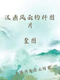 汉鼎风云钓杆图片