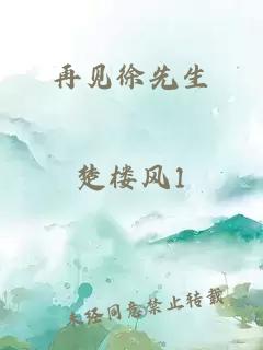 再见徐先生