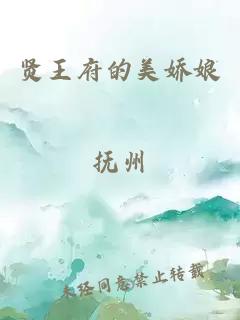 贤王府的美娇娘