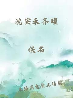 沈安禾齐曜