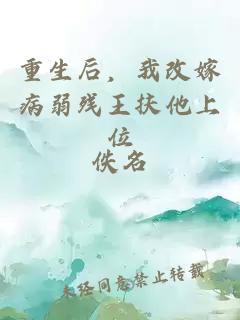 重生后,我改嫁病弱残王扶他上位