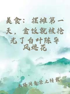 美食:摆摊第一天,盒饭就被抢光了白叶陈导
