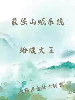 最强山贼系统