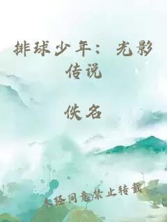排球少年：光影传说